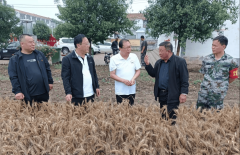 操纵周五旧事采编营业例
